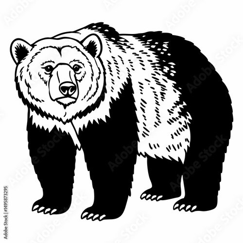 Bear Outline Icon Standing Bold In Wildlife Forest Engraving Style

