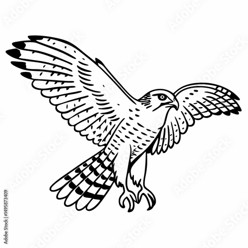 Flying Falcon Outline Icon With Engraved Wildlife Art Drawing Style