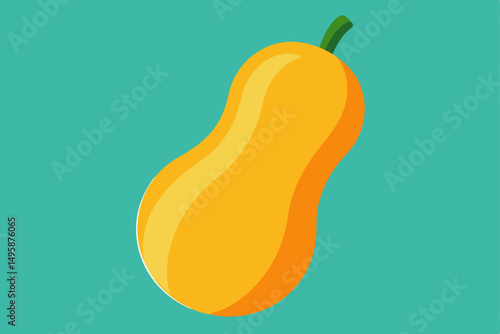 butternut squash  .svg