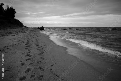 Black and White Beach Waves