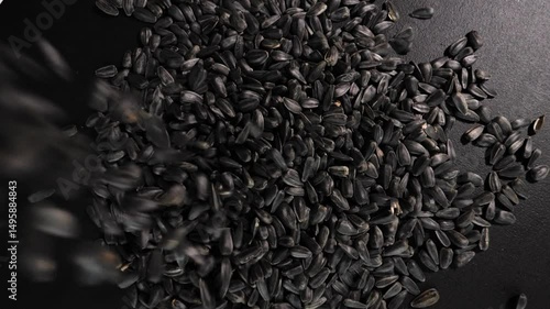 Top view. Fried black sunflower seeds pouring on a black table, in slow motion, spinning on a turntable in motion