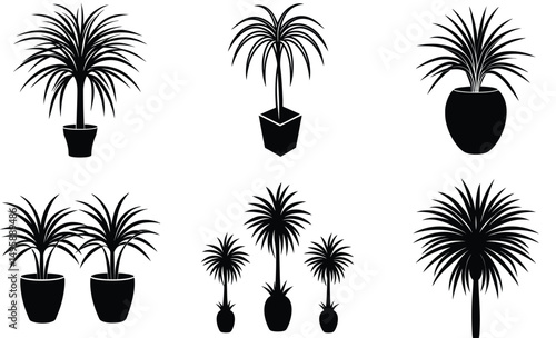 Ponytail Palm Plant Silhouette Set– Indoor Botanical Vector of Decorative Houseplant with Curved Foliage for Modern Home and Tropical Design