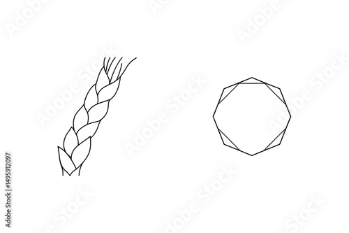 Minimalist outline illustration of a braided plant and an octagonal geometric shape