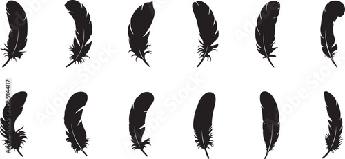 Twelve Black Feather Silhouettes Isolated on White