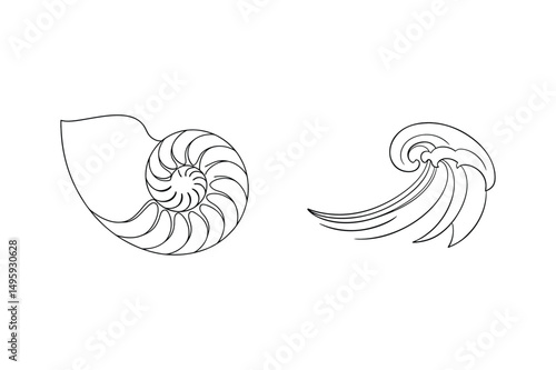Elegant black and white vector illustrations of nautilus shell and abstract swirls
