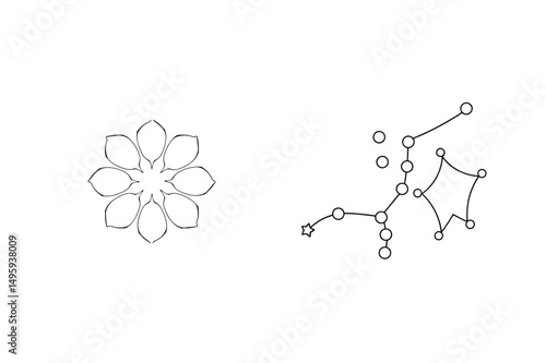 Simple line art of a floral element and a constellation design on a white background