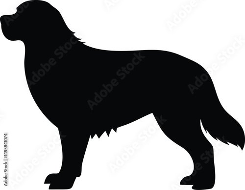 bernese mountain dog silhouette