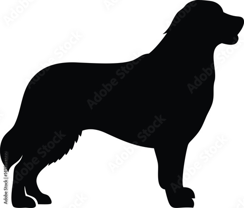 bernese mountain dog silhouette