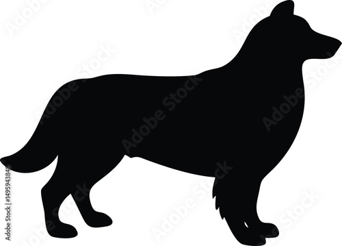 collie herding dog silhouette 