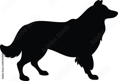 collie herding dog silhouette 