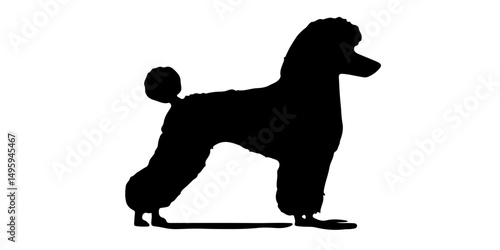 Standing poodle silhouette in side profile with clean lines and poise
