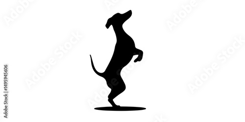 Elegant silhouette of dog on hind legs with arched tail and simple posture
