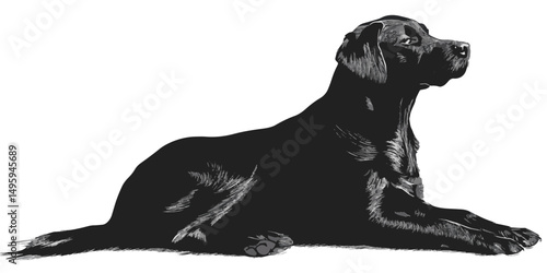 Detailed illustration of dog lying down in realistic side pose with relaxed expression
