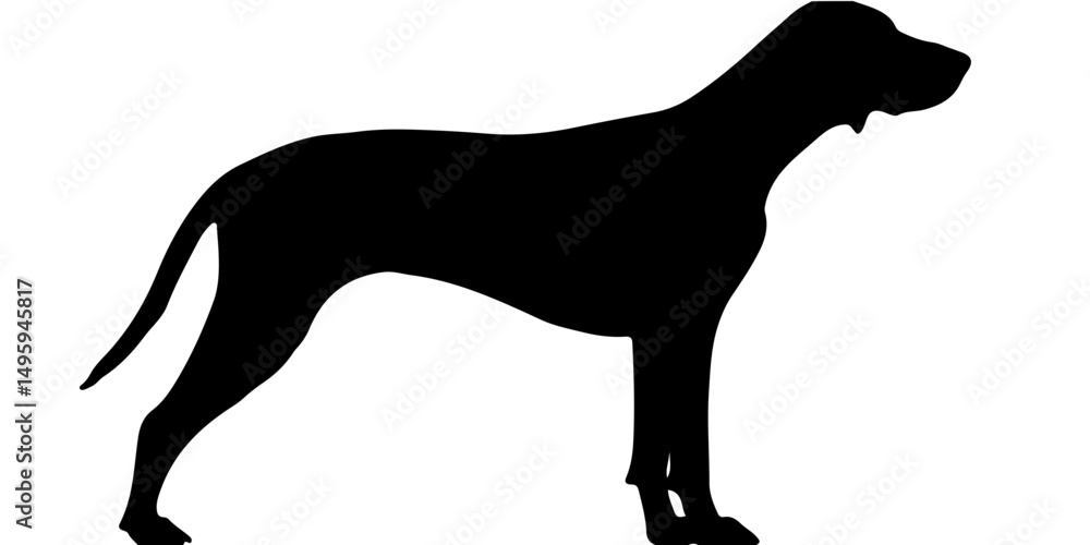 Fototapeta premium Standing dog silhouette with long tail on clean white 