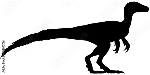 Silhouette of feathered raptor dinosaur in standing pose
