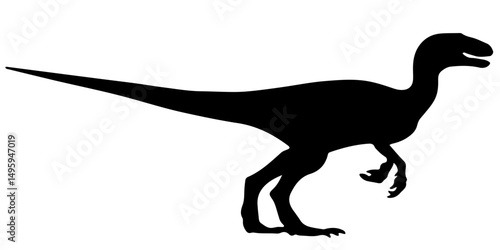 Standing velociraptor dinosaur silhouette isolated on white background
