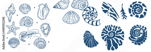 Set of hand drawn seashells drawing ink. Minimalist line art. Summer vacation design elements for trendy prints, label, menu cover. Tropical beach shells. Vector flat illustration. photo