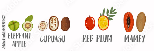 Vector fruits icons set in hand drawn style. Collection farm product for restaurant menu, market label.