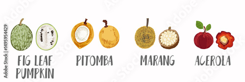 Vector fruits icons set in hand drawn style. Collection farm product for restaurant menu, market label.