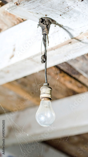 A vintage lightbulb hanging from a weathered ceiling, casting shadows, surrounded by cobwebs. Evokes themes of abandonment, decay, history, or finding light in darkness.