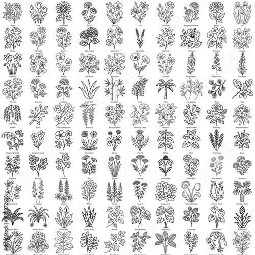 100 Floral Line Art Elements – Botanical Vector SVG Set