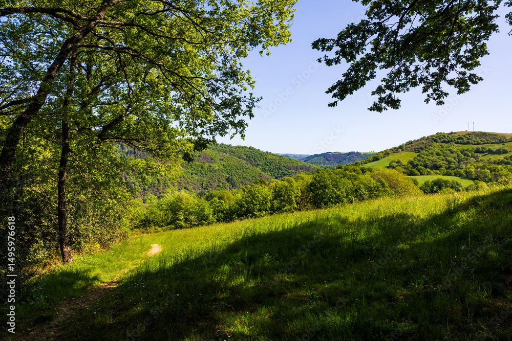 Panorama of the Tarn valley, its forests, and its fields, from the heights around the village of Ambialet Panorama of the Tarn valley, its forests, and its fields, from the heights around the village of Ambialet