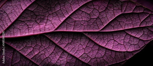 The title is "Leaf".