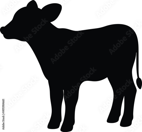 silhouette of a calf 