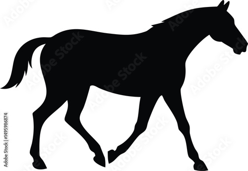 silhouette of a horse walking 
