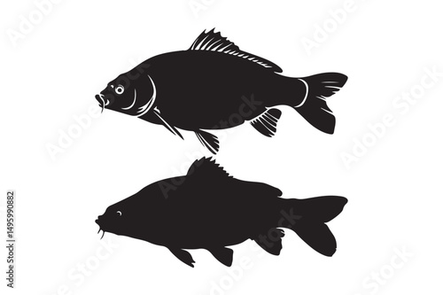 Carp Fish Silhouette Vector Illustrations Aquatic Animal Clipart Designs