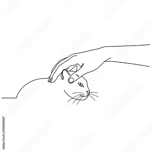 Hand petting a cat gently with a loving touch on a plain white background