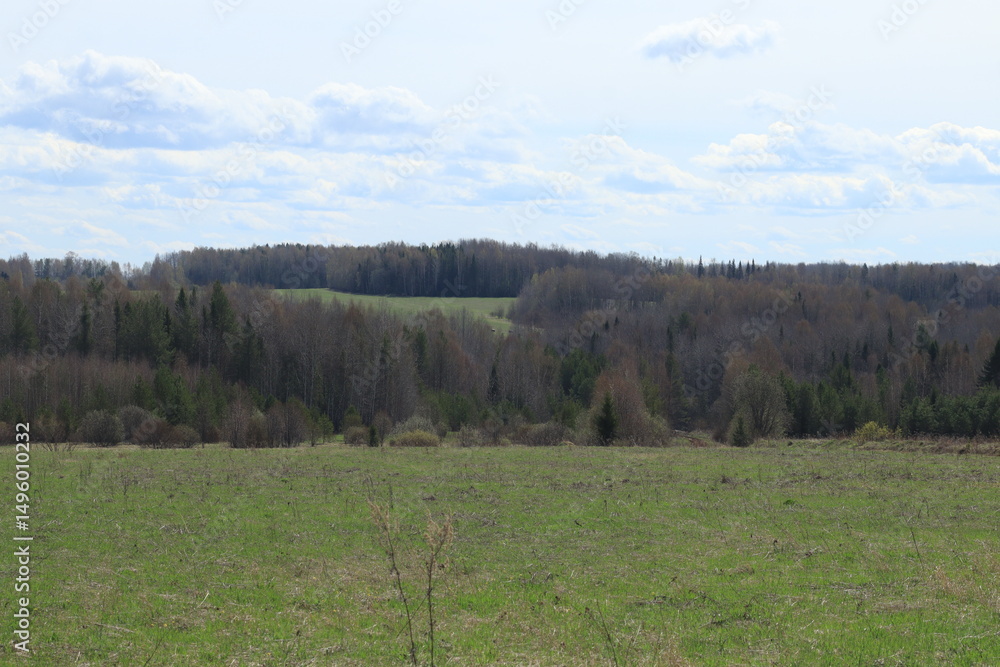 green fields and forests of northeastern Europe in mid-May on a sunny day