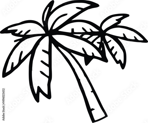 palm tree silhouette