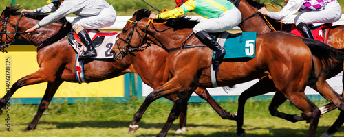 Group of jockeys racing on thoroughbred horses by green grass track race course back view on sunny day. Riders wear colorful uniforms under bright daylight, surrounded by trees and racetrack rails