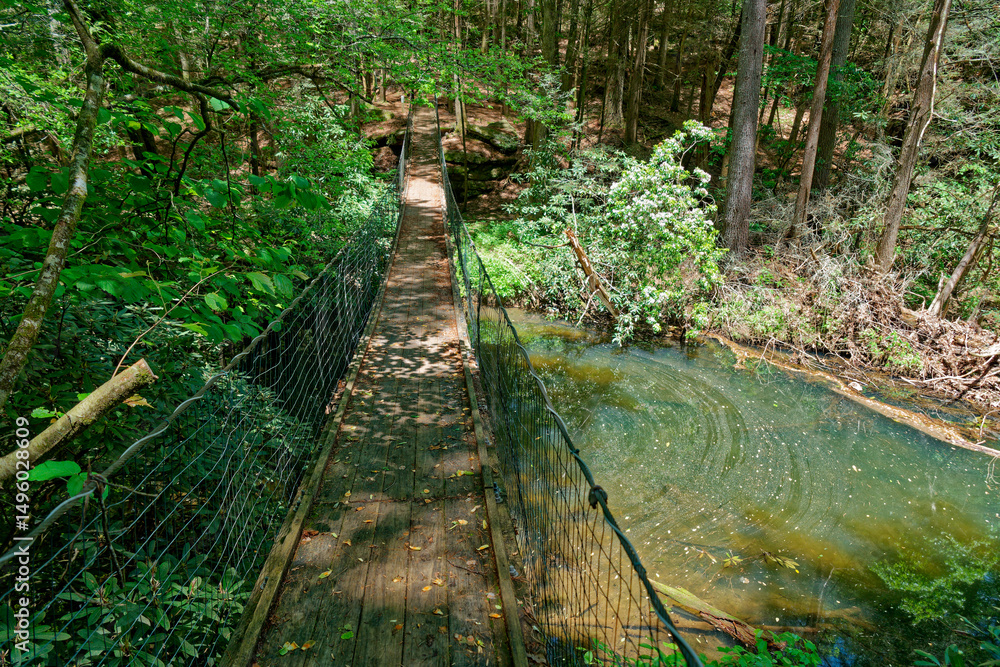 Obraz premium Wooden swinging foot bridge over water