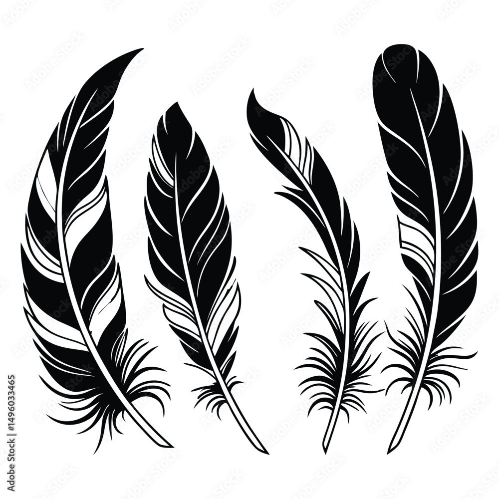 Fototapeta premium A diverse vector set of vintage feather and bird quill illustrations for design and decoration