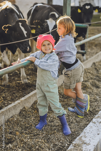 Vertical picture of happy kids on a cows farm in summer. Farmer girld play with animals. Child and animal friendship. happy chuldhood