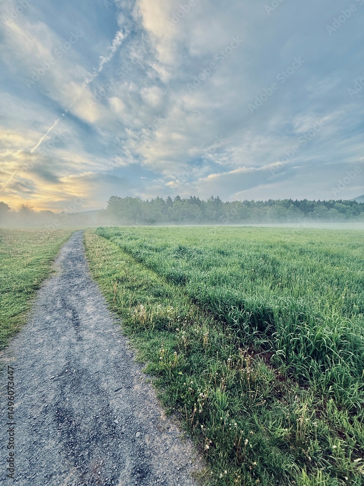 Obraz premium The winding, meandering Windham Path, in spring. walk, bike, hike or run. A meadow, creek, stream enjoying the misty mountain sunrise. Small town countryside vibe. Charming ski area in the Catskills.