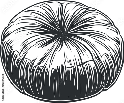 Black and white sketch of a ripe tomato showing detailed texture and shape in monochrome style