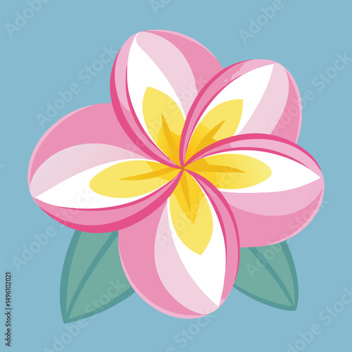 Flat Vector Of Pink Frangipani  Plumeria  Flower W
