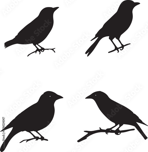 A set of four bird silhouettes perched on tree branches. This artwork is digitally enhanced using AI and manually edited for quality.