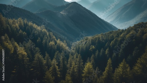 Fototapeta Naklejka Na Ścianę i Meble -  Aerial view of forest and mountain. Features empty space for text.