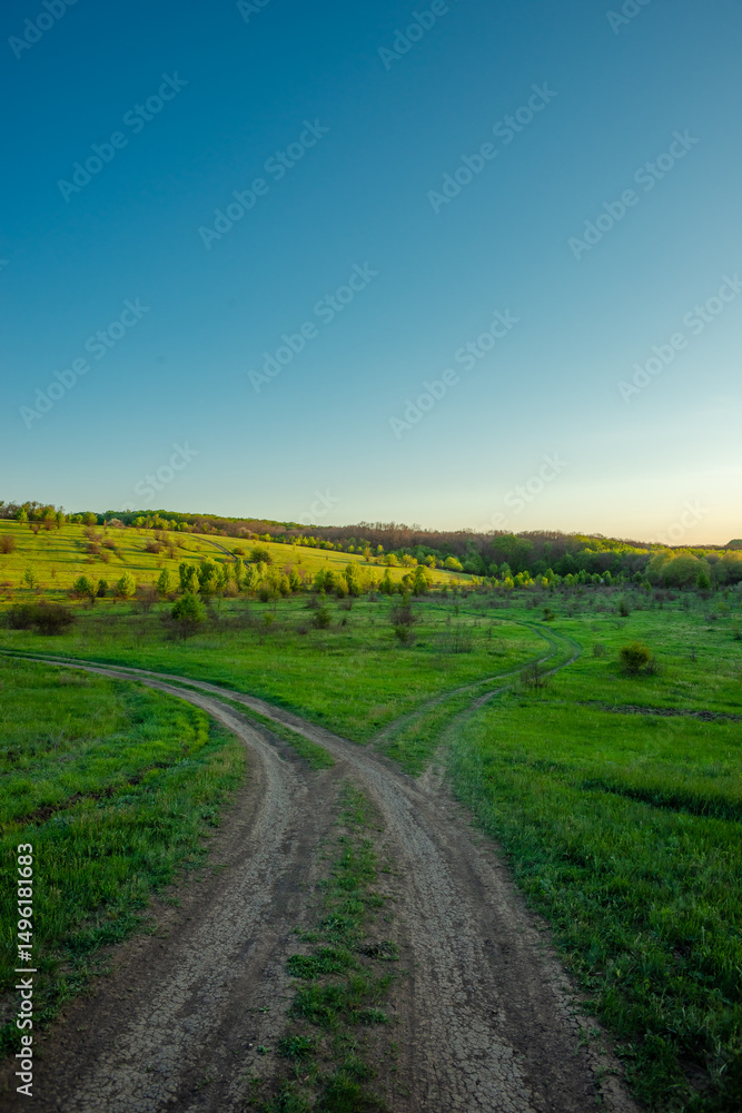 Obraz premium Beautiful landscape photography in the field sunny summer day in the forest , landscape and nature in the Ukraine .Road in the woodladns , summer lands 