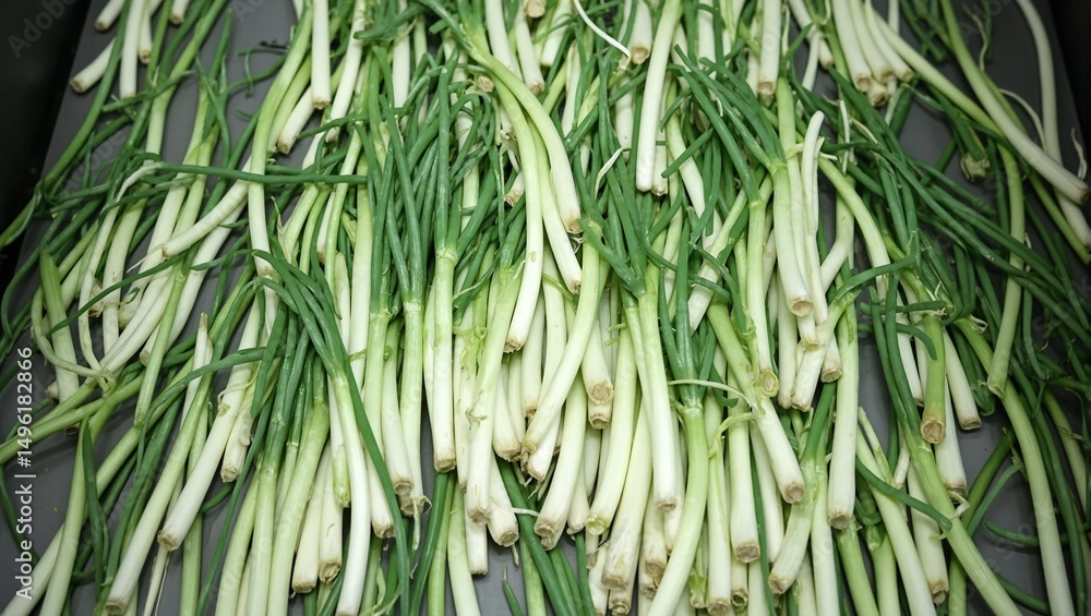 Obraz premium Fresh green onions on a conveyor belt neatly separated by white bulbs and green stalks Perfect for food or agricultural concepts