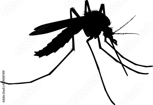 Mosquito Silhouette isolated on white background Minimalist mosquito vector illustration
