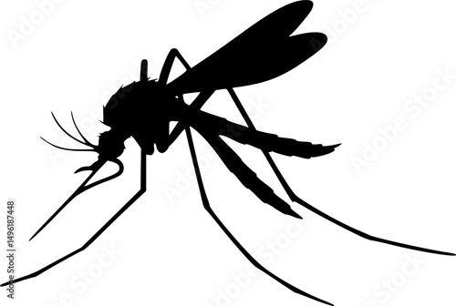 Mosquito Silhouette isolated on white background Minimalist mosquito vector illustration
