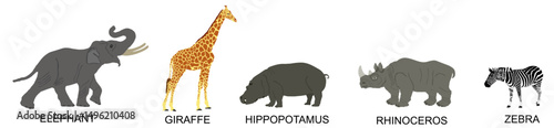 Group of African animals collection vector illustration isolated on white background. Big animals set poster. Elephant, giraffe, hippo, rhino, zebra. Africa herbivore on watering place in savanna.