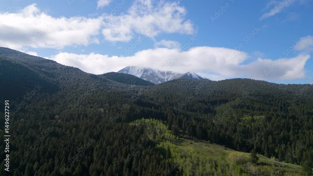 Drone over MT forest in Spring with snowy peak in cloud Drone over MT forest in Spring with snowy peak in cloud
