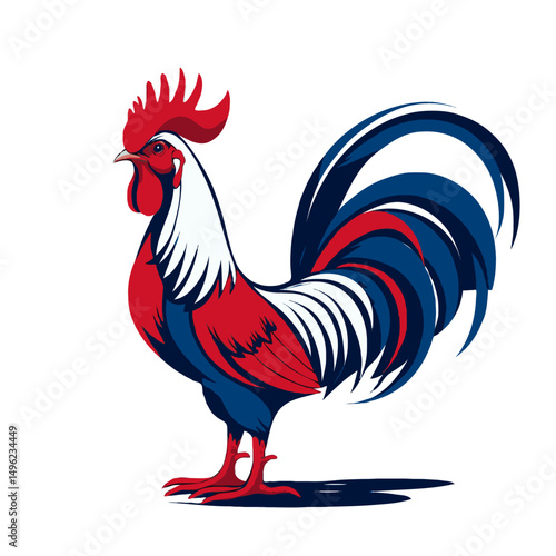 rooster isolated on white background