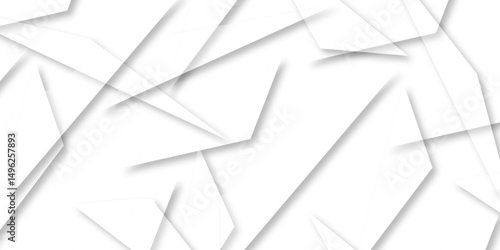 Abstract background with liens and triangles shape on white background. White and grey geometric overlapping rectangle pattern Geometric background soft shadows as patten ..White polygon textured .